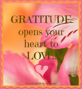 Gratitude