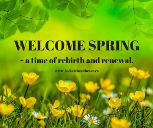 a spring renewal